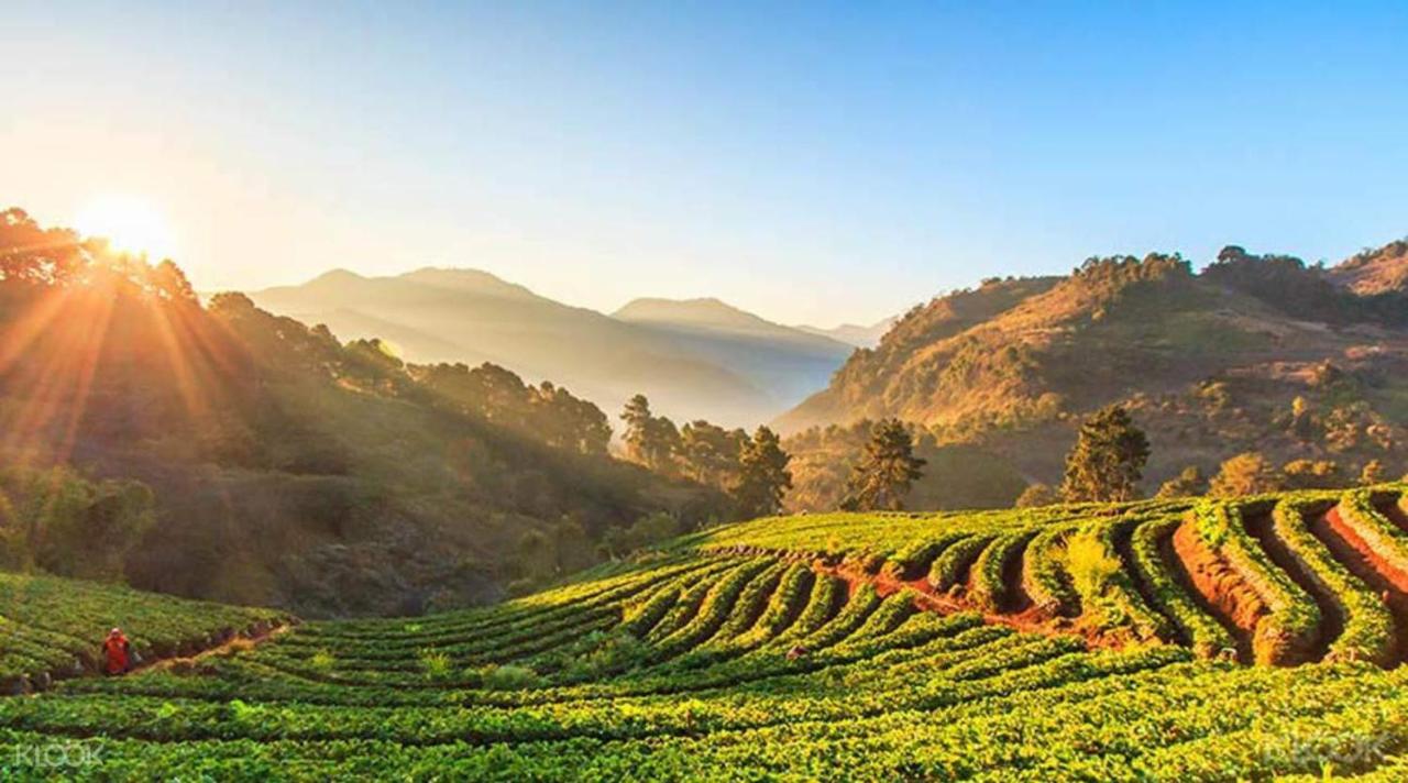 بيت شباب One Night Zleep At Nimman شيانغ ماي المظهر الخارجي الصورة